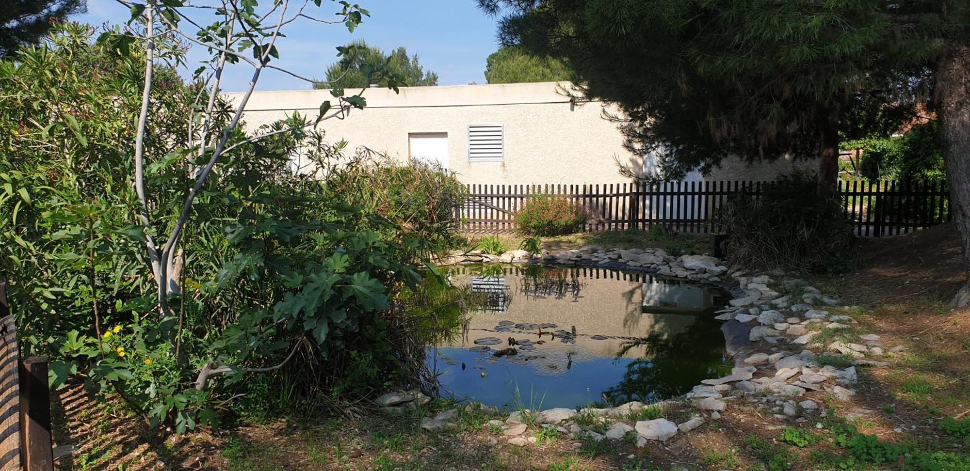 Maison"La Cigale Du Sud" Calvisson Bagian luar foto
